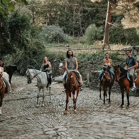 Centro Trekking A Cavallo Monte Brugiana Massa (Tuscany)