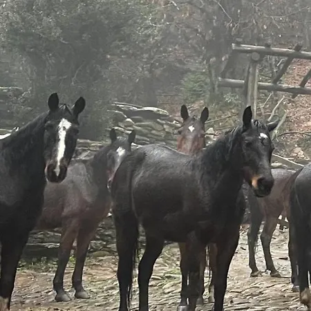 Centro Trekking A Cavallo Monte Brugiana Country house