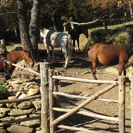 Centro Trekking A Cavallo Monte Brugiana