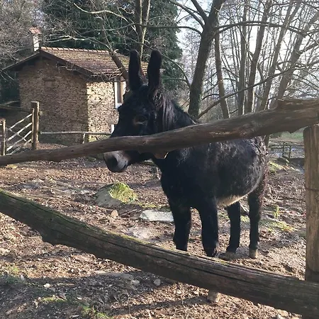 Centro Trekking A Cavallo Monte Brugiana Country house *