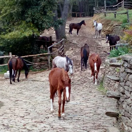 Centro Trekking A Cavallo Monte Brugiana Venkovský dům *